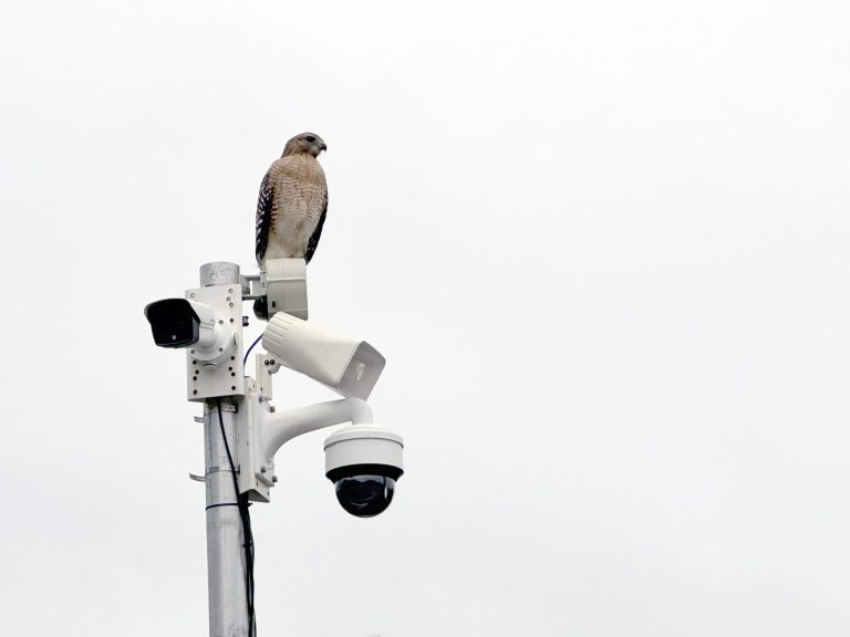 Continuous Site Security: Why 24/7 Monitoring Is the New Standard